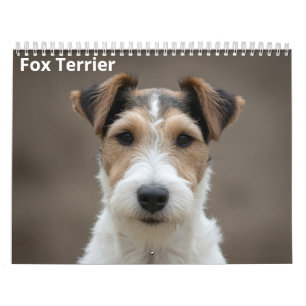 Fox Terrier 2027 Wall Calendar