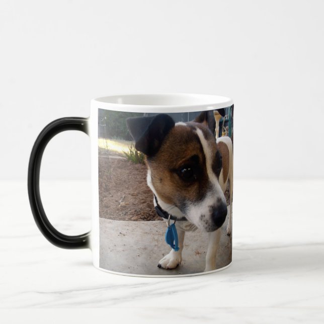 Fox Terrier Attraction, Magic Morph Coffee Mug (Left)