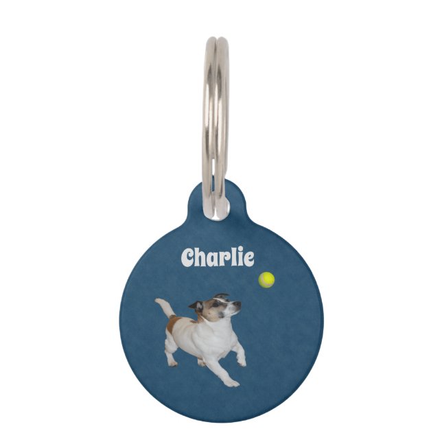 Fox Terrier Ball Trance,  Pet Tag (Front)