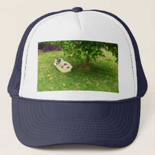 Fox Terrier Bathtime, Truckers Hat