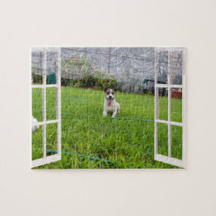 Fox Terrier Come Play, jigsaw puzzle