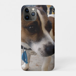 Fox Terrier Dog Attraction, iPhone 11 Pro Case