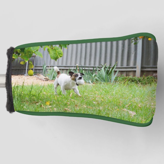 Fox Terrier Funny Scare Face, Golf Head Cover (Front)