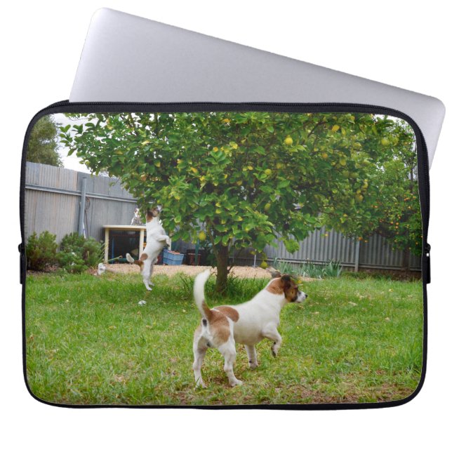 Fox Terrier Leaping Into A Tree, Laptop Sleeve (Front)