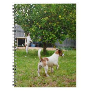 Fox Terrier Leaping Into A Tree, Notebook