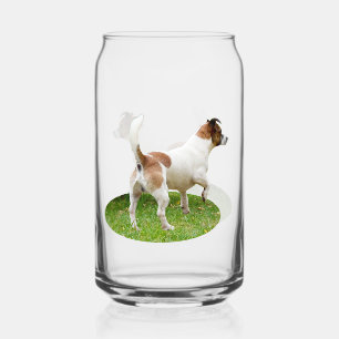 Fox Terrier On Alert, Can Glass