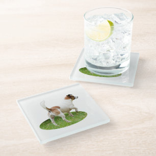 Fox Terrier On Alert, Glass Coaster