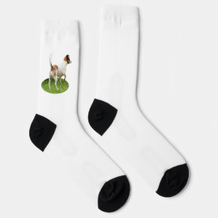 Fox Terrier On Alert, Socks