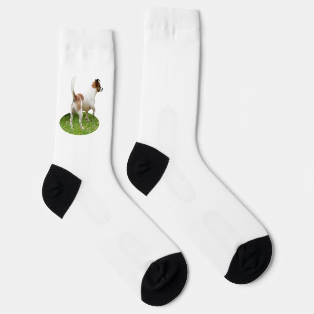 Fox Terrier On Alert, Socks (Right)