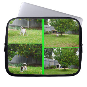 Fox Terrier, Photo Collage 10inch Laptop Sleeve. Laptop Sleeve