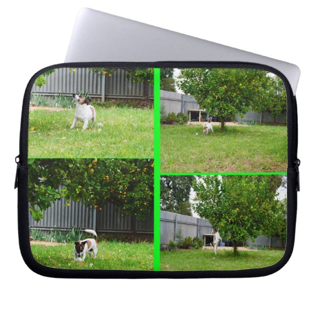 Fox Terrier, Photo Collage 10inch Laptop Sleeve. Laptop Sleeve (Front)