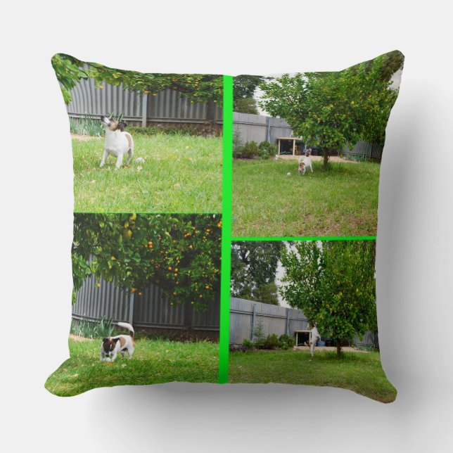 Fox Terrier Photo Collage, Big Throw Cushion. Cushion (Front)