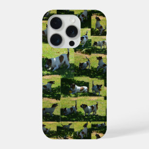 Fox Terrier Photo Collage, iPhone 15 Pro Case