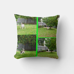 Fox Terrier Photo Collage, Throw Cushion. Cushion