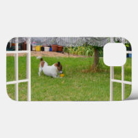 Fox Terrier Play Ball,