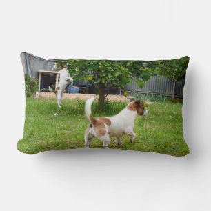 Fox Terrier Play Time Lumbar Cushion