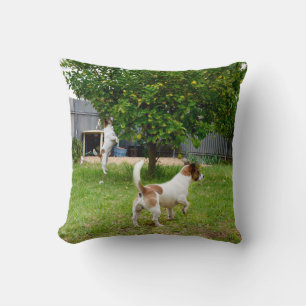 Fox Terrier Play Time Throw Cushion