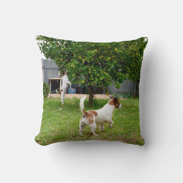 Fox Terrier Play Time Throw Cushion (Front)