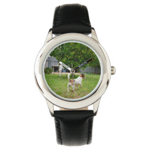 Fox Terrier Playing In The Garden, Watch