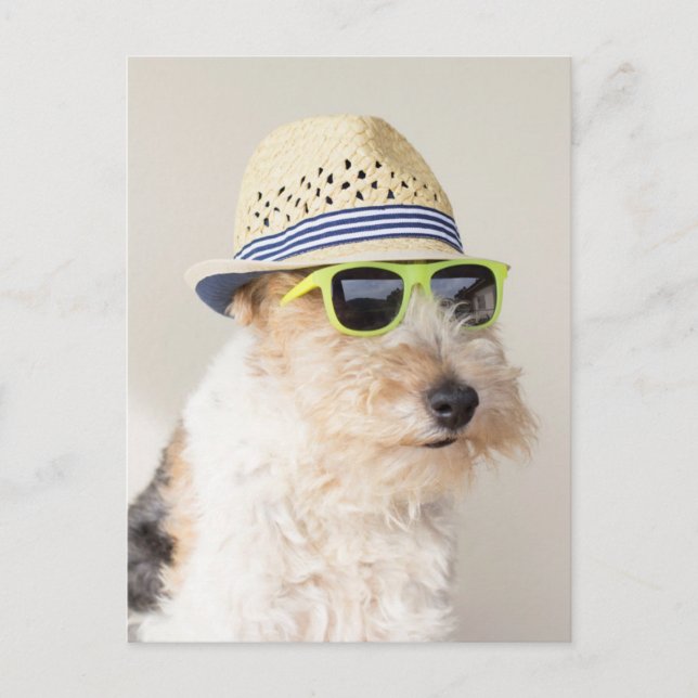 Fox Terrier Postcard (Front)