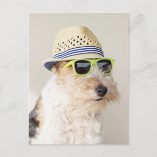 Fox Terrier Postcard
