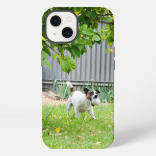 Fox Terrier Scare Face, iPhone 13 case