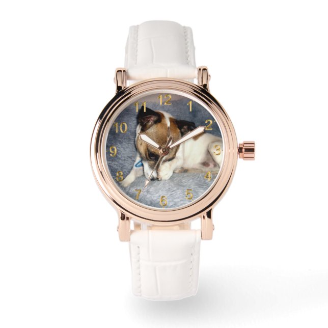 Fox Terrier Shy Face,  Watch (Front)