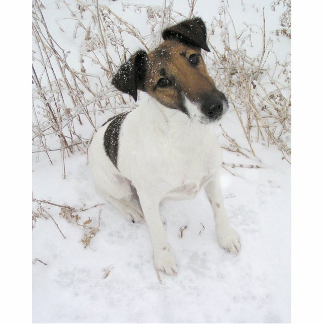 Fox_terrier_smooth in snow photo sculpture key ring (Front)
