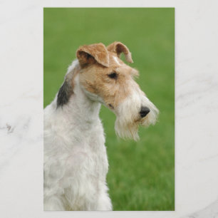Fox Terrier Stationery