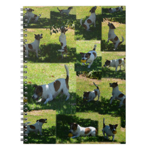Fox Terrier, The Hard Day, Notebook