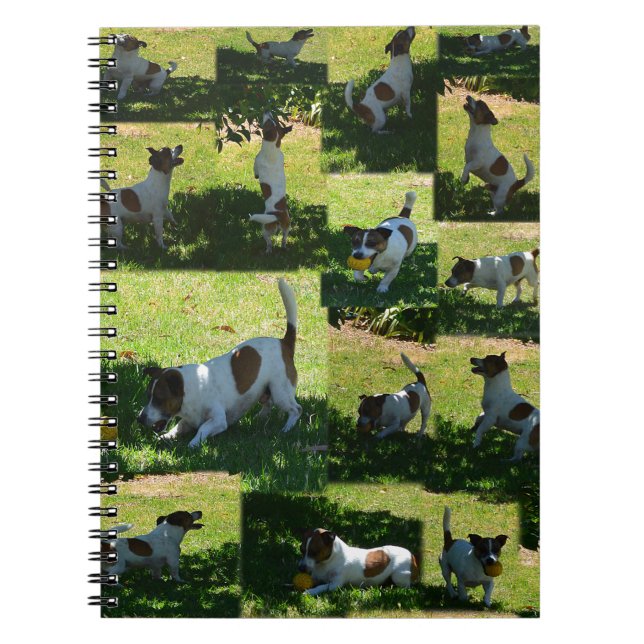 Fox Terrier, The Hard Day, Notebook (Front)
