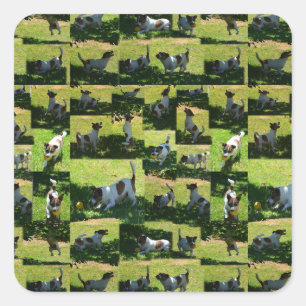Fox Terrier, The Hard Day, Square Sticker