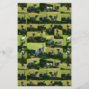 Fox Terrier, The Hard Day, Stationery