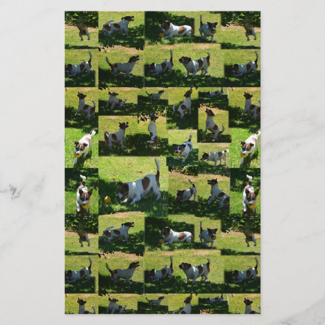 Fox Terrier, The Hard Day, Stationery (Front)