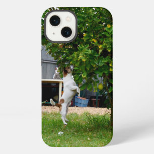 Fox Terrier The Leap, iPhone 13 Case