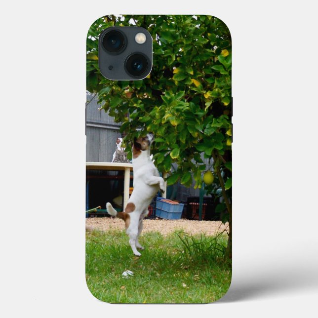 Fox Terrier The Leap, iPhone 13 Case (Back)
