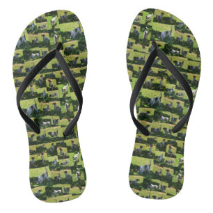 Fox Terrier The Long Hard Day Photo Collage, Flip Flops