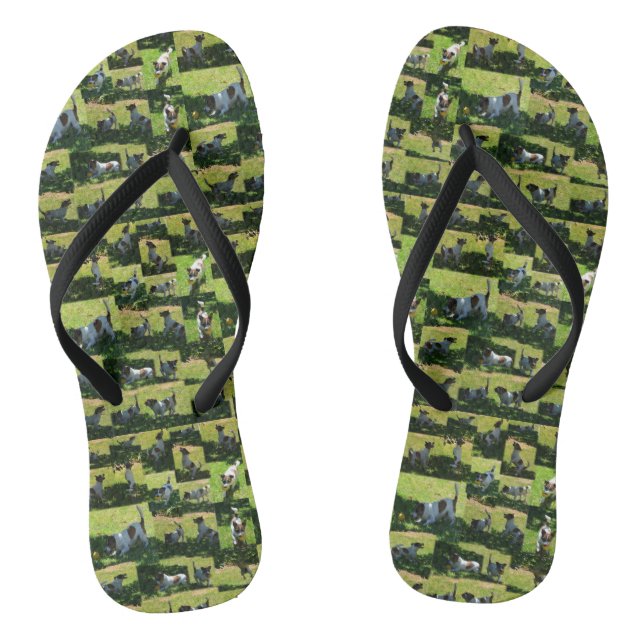 Fox Terrier The Long Hard Day Photo Collage, Flip Flops (Footbed)