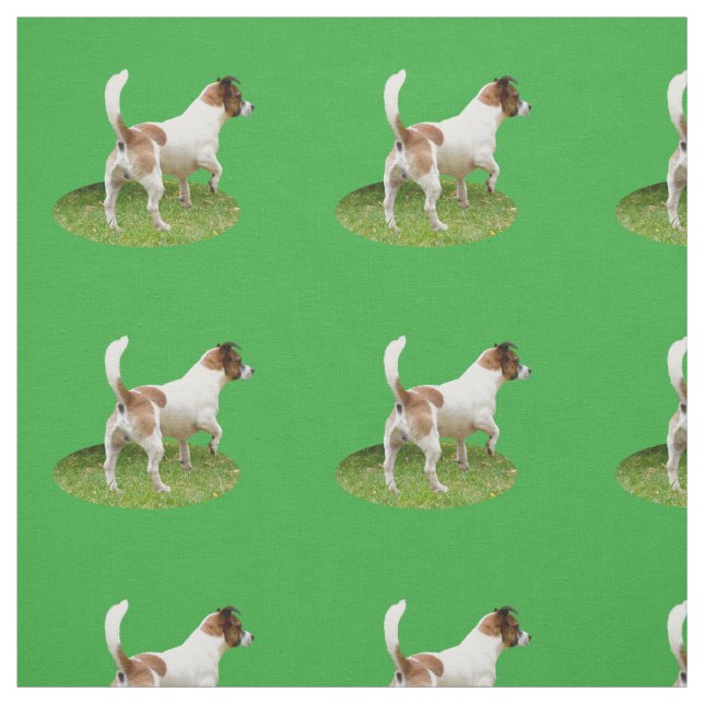 Fox Terrier The Stance, Fabric (Swatch)