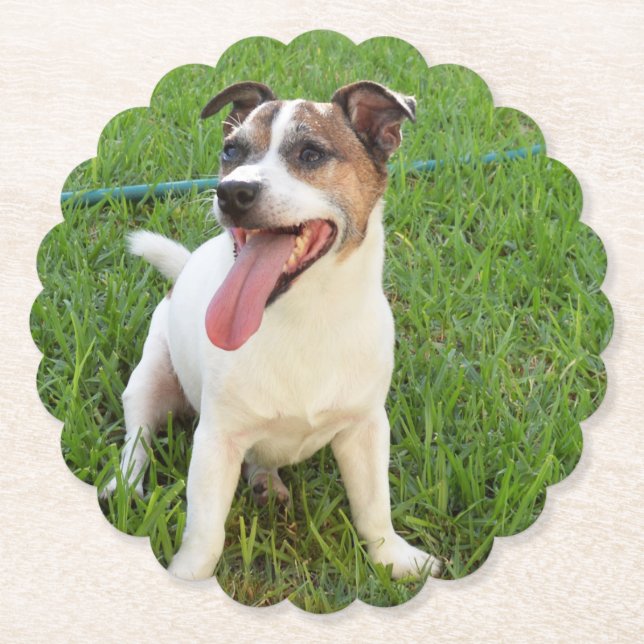Fox Terrier, Tongue In Cheek, Paper Coaster (Front)