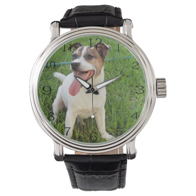 Fox Terrier, Tongue In Cheek,  Watch (Front)