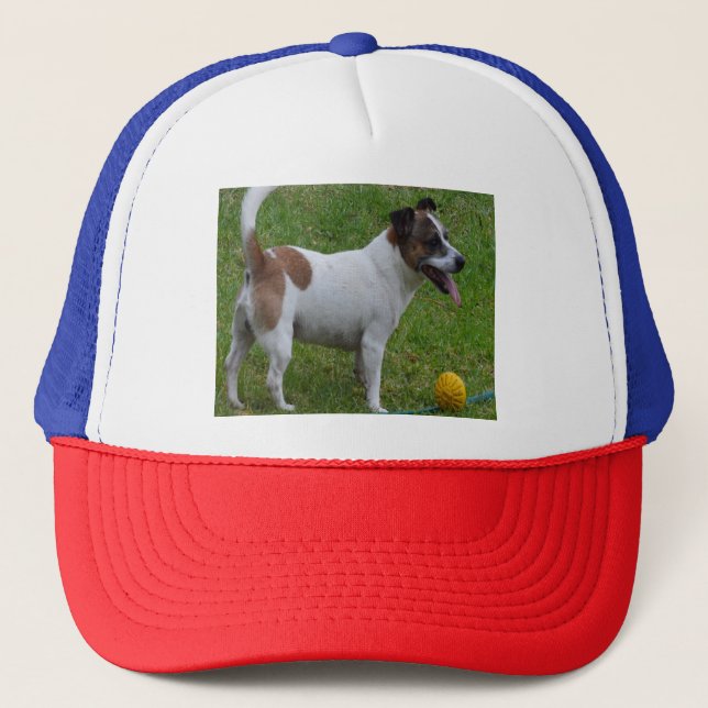 Fox Terrier With His Yellow Ball, Trucker Hat (Front)