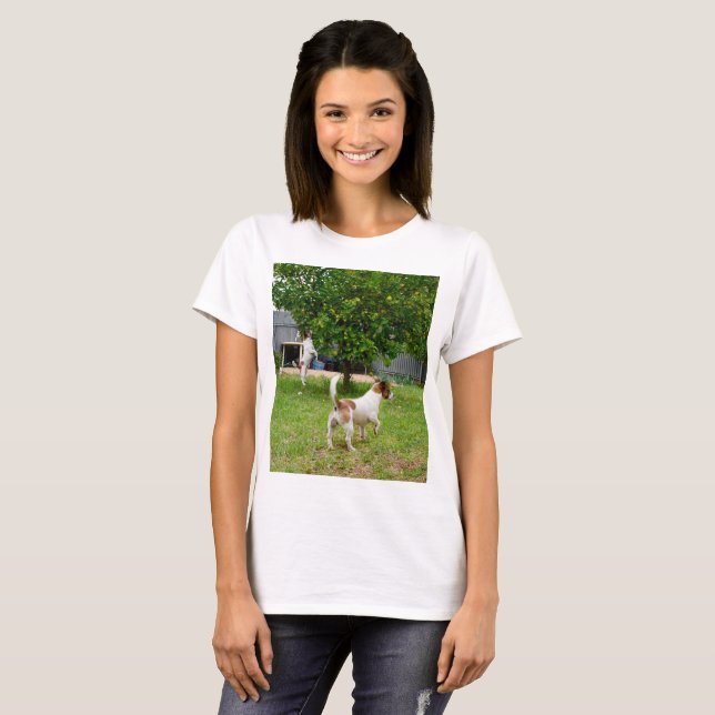 Fox Terriers Playtime, Ladies White T-shirt (Front Full)