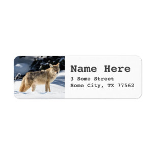Fox Themed Return Address Labels