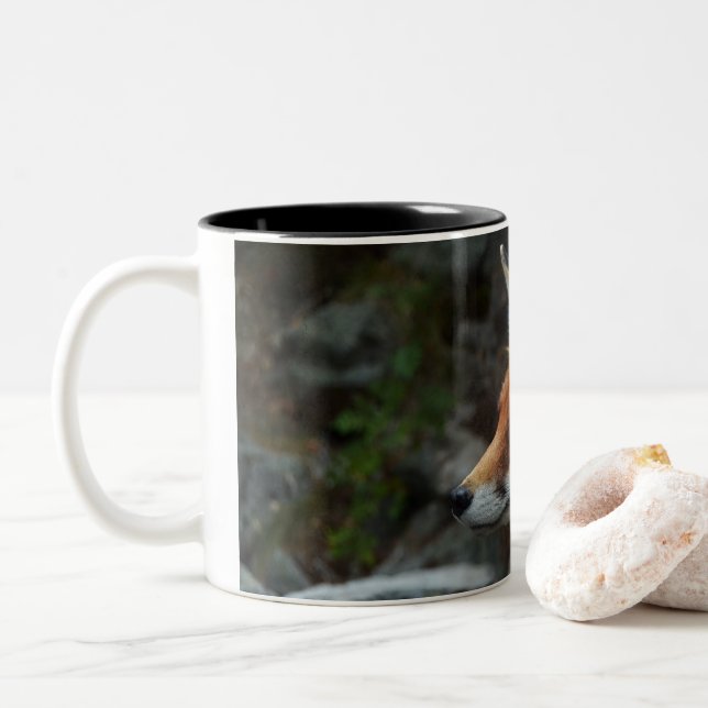 Fox Two-Tone Coffee Mug (With Donut)