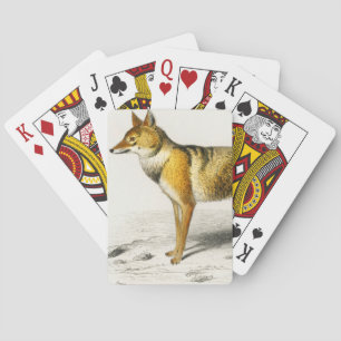 Fox vintage illustrated playing cards