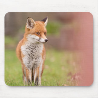 Fox Vixen Mouse Mat
