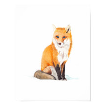 Fox Watercolor Poster