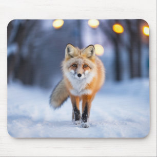 Fox Wildlife Animal On Street Outdoors  Mouse Mat