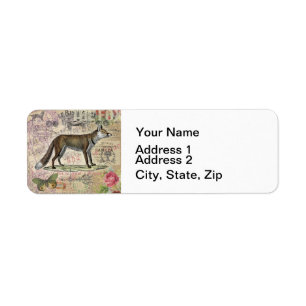 Fox Wildlife Vintage Animal Illustration